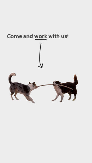 K9Conservationists Call for Interns