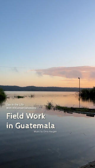 Day in the Life With K9Conservationists